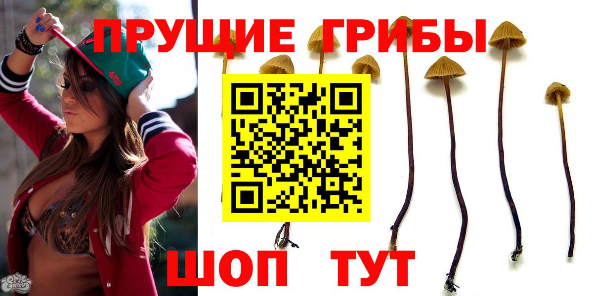 Псилоцибиновые грибы GOLDEN TEACHER Сунжа